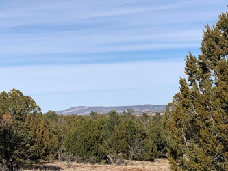 7310 Red Feather Court, Happy Jack, Arizona 86024, ,Land,For Sale,Red Feather,93601