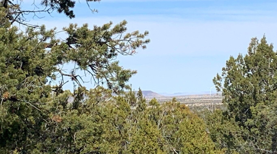 Long Range View