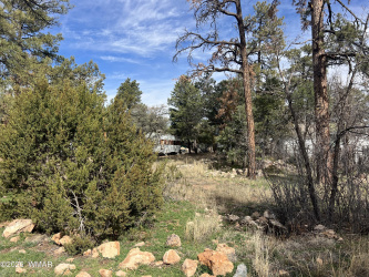 2856 Rainbow Trail, Overgaard, Arizona 85933, ,Land,For Sale,Rainbow,259908