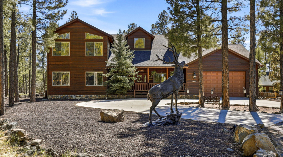 Driveway Elk