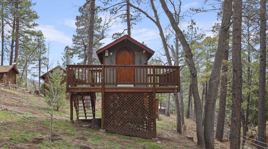 Tree House