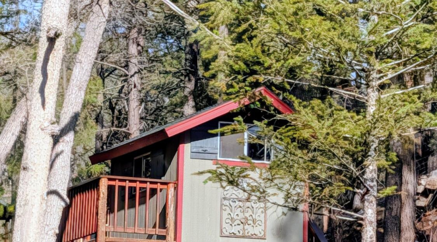 Tree House