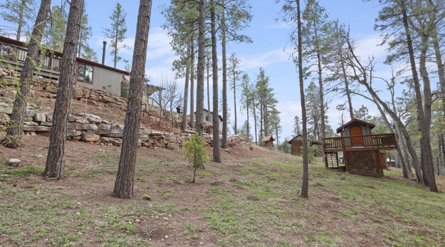 Tree House and Manufactured Home