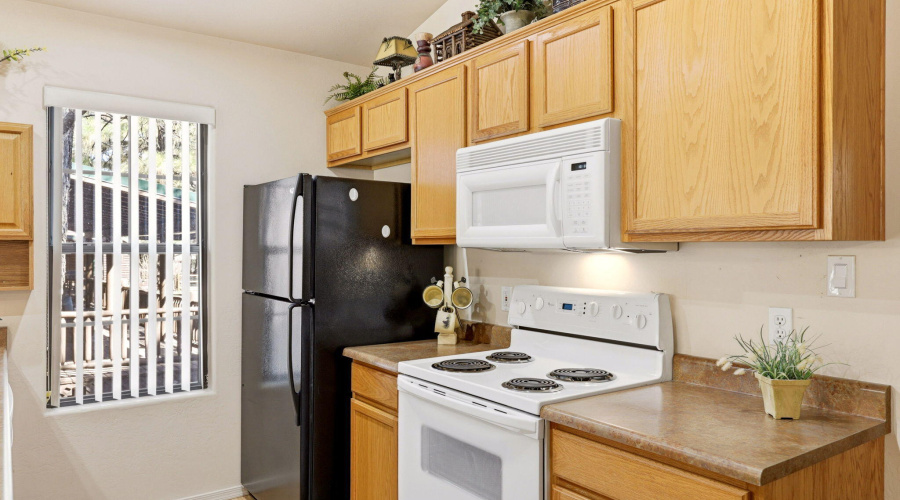 2690PalominoTrail-Overgaard-AZ-12