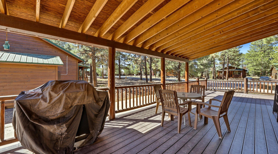 2690PalominoTrail-Overgaard-AZ-22