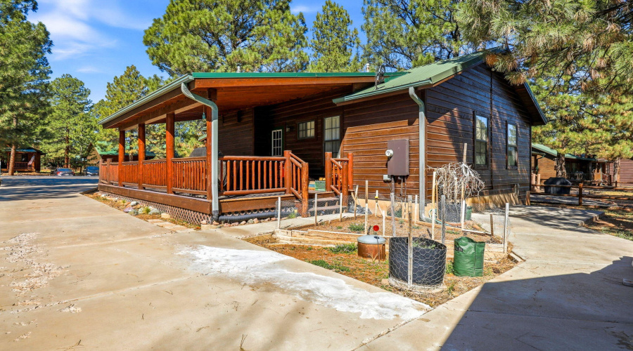 2690PalominoTrail-Overgaard-AZ-26