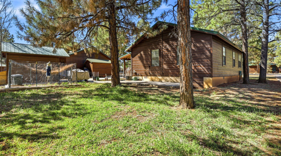 2690PalominoTrail-Overgaard-AZ-24