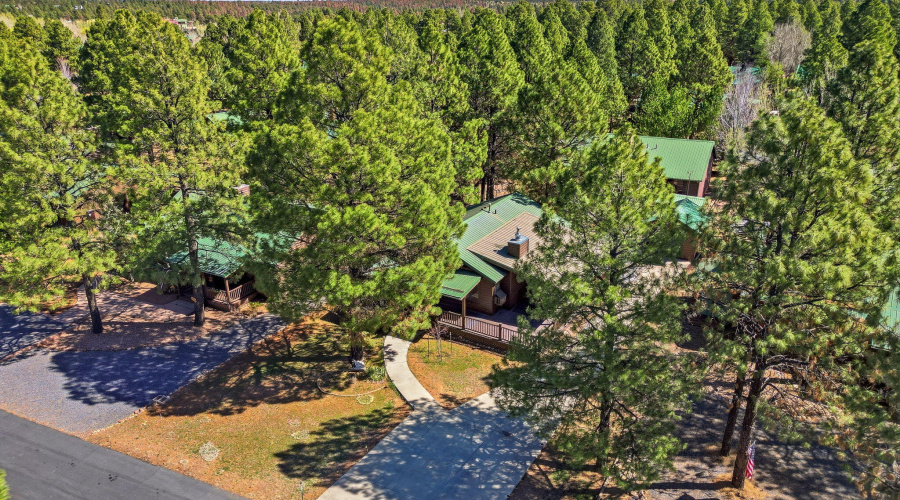 2690PalominoTrail-Overgaard-AZ-27