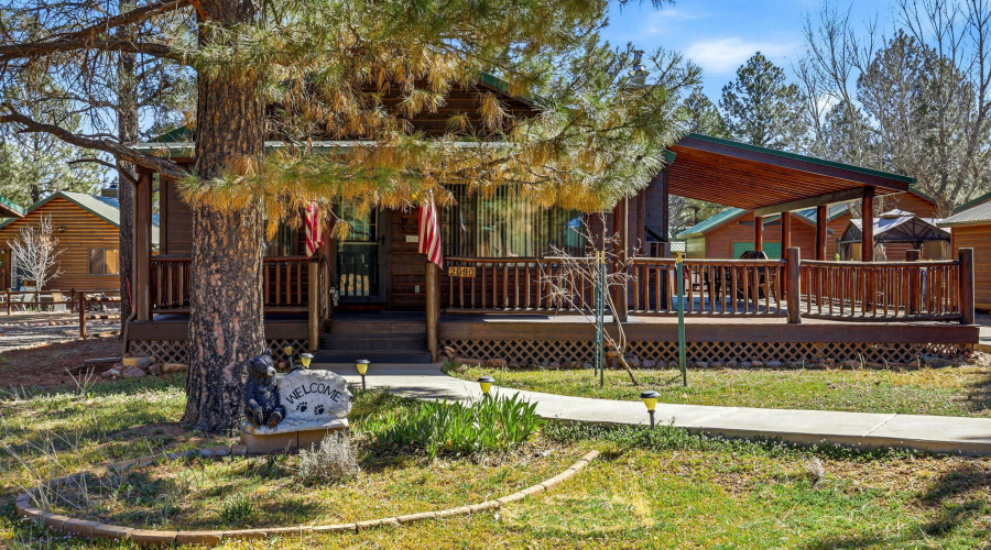 2690PalominoTrail-Overgaard-AZ-3