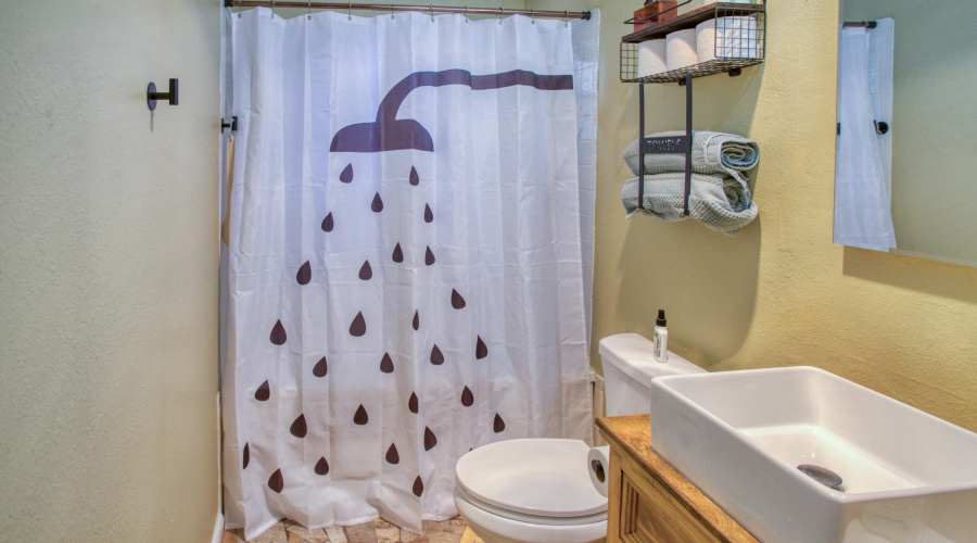 Guest Bathroom