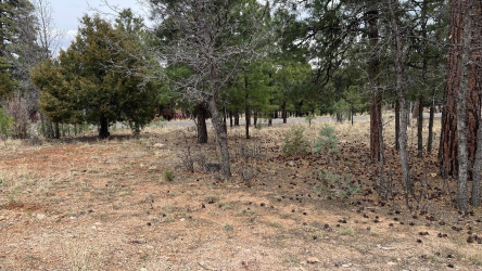 2755 Javalina Circle, Happy Jack, Arizona 86024, ,Land,For Sale,Javalina,93723