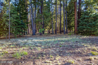 10 1337, Greer, Arizona 85927, ,Land,For Sale,1337,260321