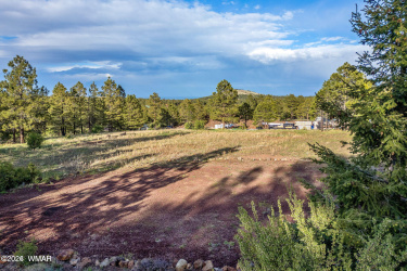 34 1330, Greer, Arizona 85927, ,Land,For Sale,1330,260322