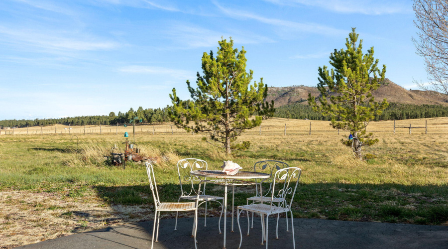216CountyRd2311-Alpine-AZ-4
