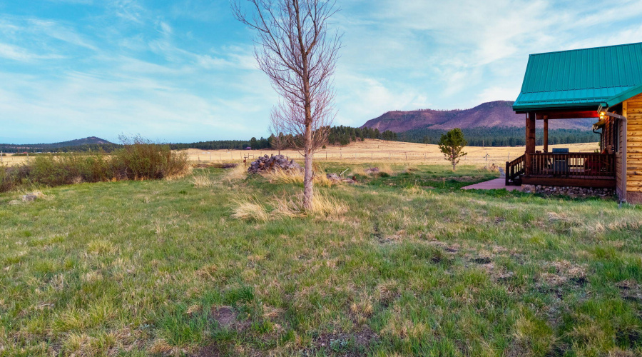 216CountyRd2311-Alpine-AZ-34