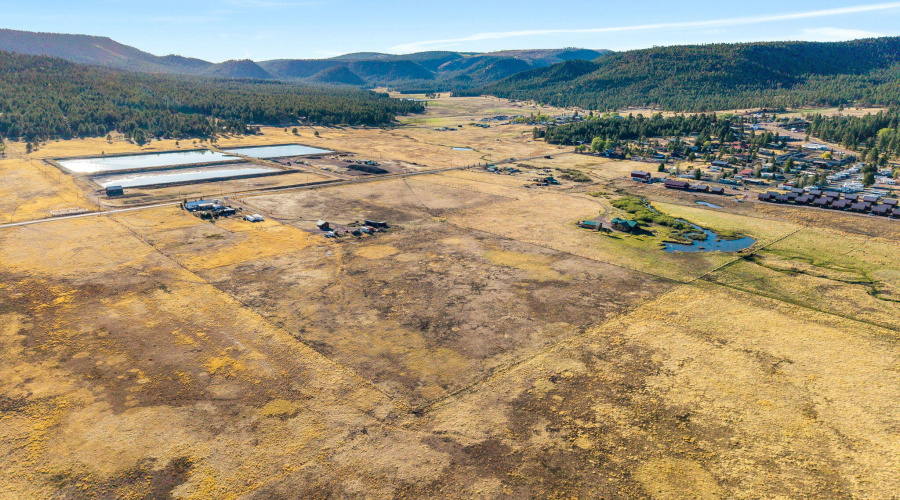 216CountyRd2311-Alpine-AZ-43