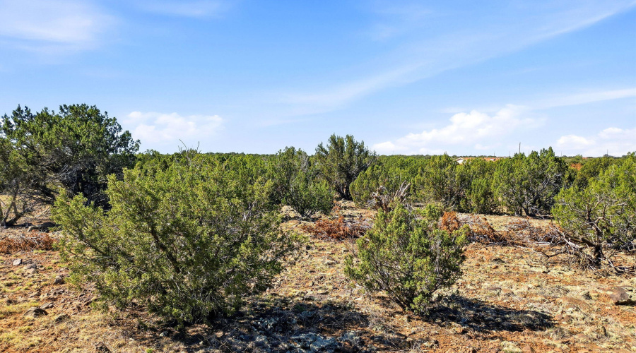 2.5 Ac with Septic system