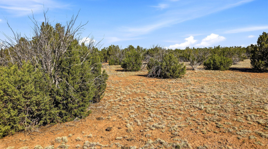 2.5 Ac with Septic system