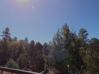 3642 Pinehurst Drive, Happy Jack, Arizona 86024, ,Land,For Sale,Pinehurst,93728
