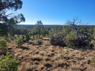 4083 Sunset Ridge Loop, Happy Jack, Arizona 86024, ,Land,For Sale,Sunset Ridge,93729