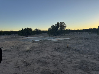 Lot 205 Sierra Mountain Ranch II, Chambers, Arizona 86502, ,Land,For Sale,Sierra Mountain Ranch II,93731