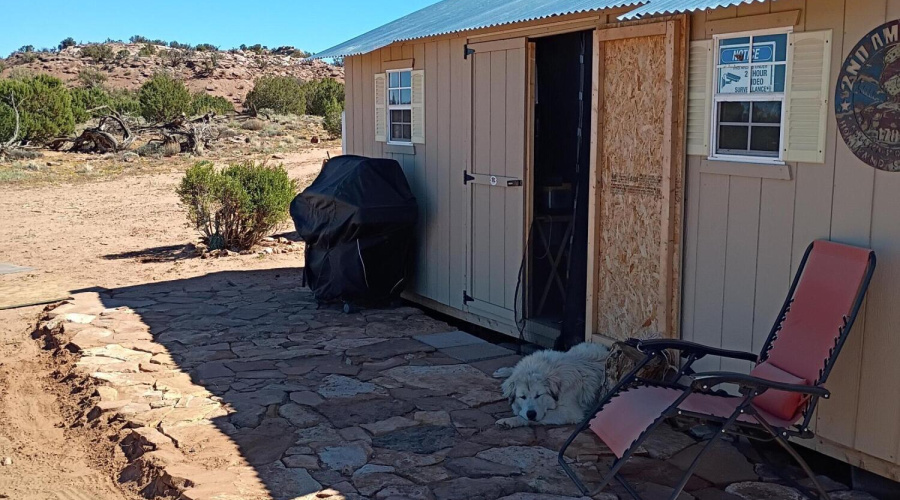 Shed/Cabin
