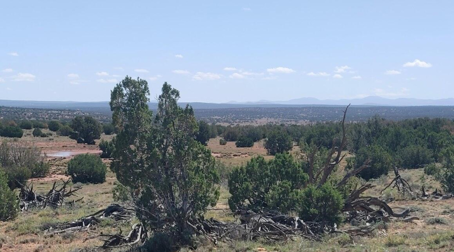 State Land to the North