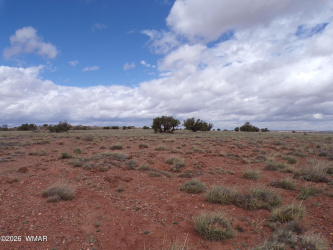 TBD ACR 9040, Concho, Arizona 85924, ,Land,For Sale,ACR 9040,260339