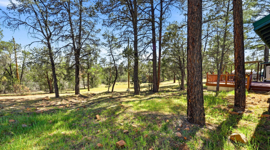 3121CedarDr-HeberOvergaard-AZ-31