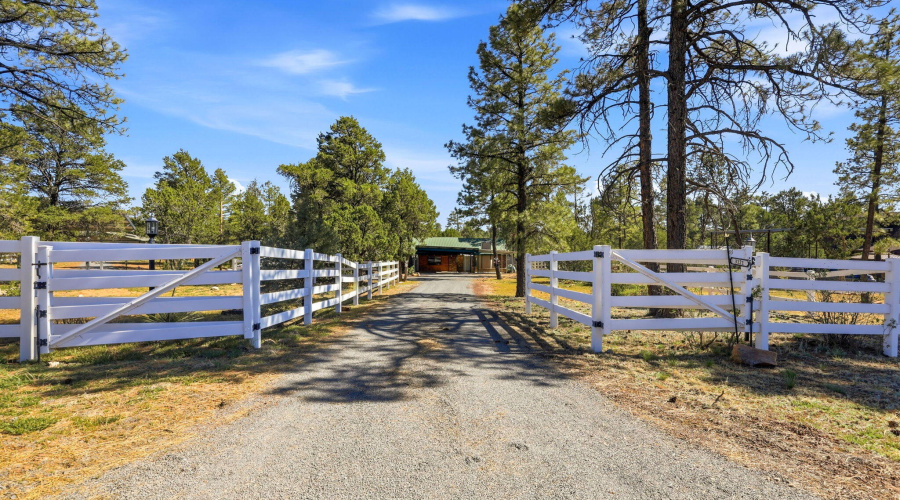 3121CedarDr-HeberOvergaard-AZ-2