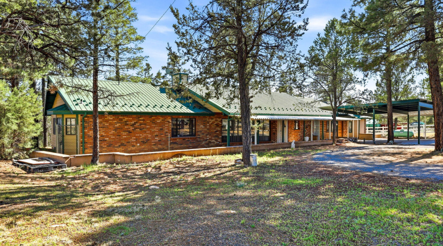 3121CedarDr-HeberOvergaard-AZ-5
