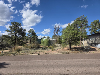 200 Zurich Drive, Payson, Arizona 85541, ,Land,For Sale,Zurich,93740