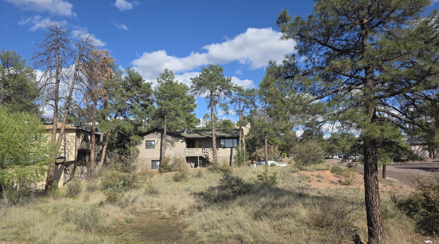 Left of Lot