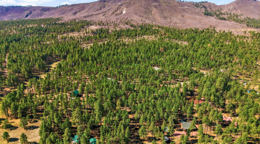 11CountyRd2135-Alpine-AZ-4