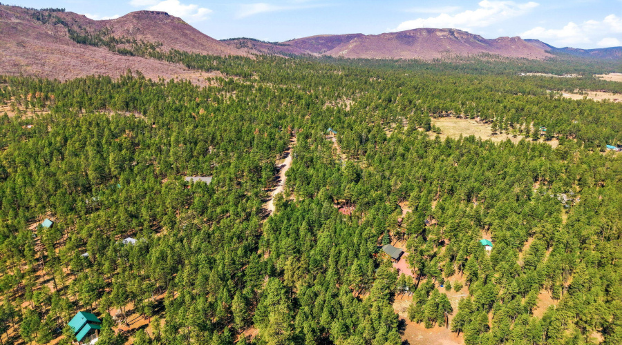 11CountyRd2135-Alpine-AZ-5