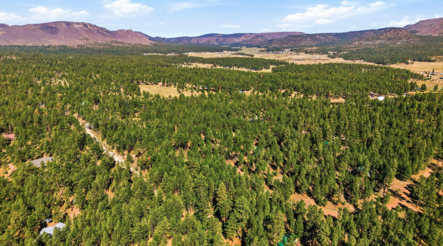 11CountyRd2135-Alpine-AZ-6