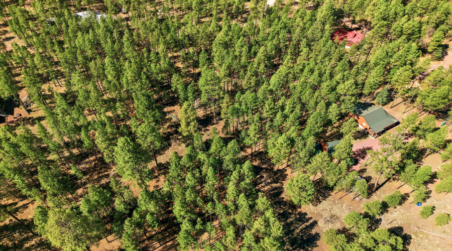 11CountyRd2135-Alpine-AZ-9