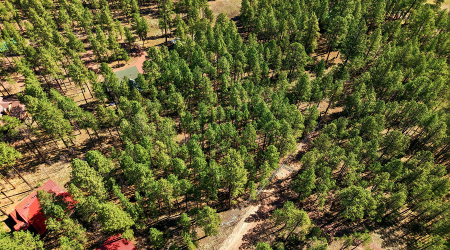 11CountyRd2135-Alpine-AZ-10