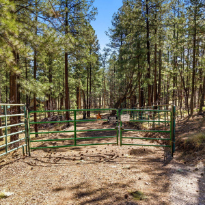 11CountyRd2135-Alpine-AZ-13