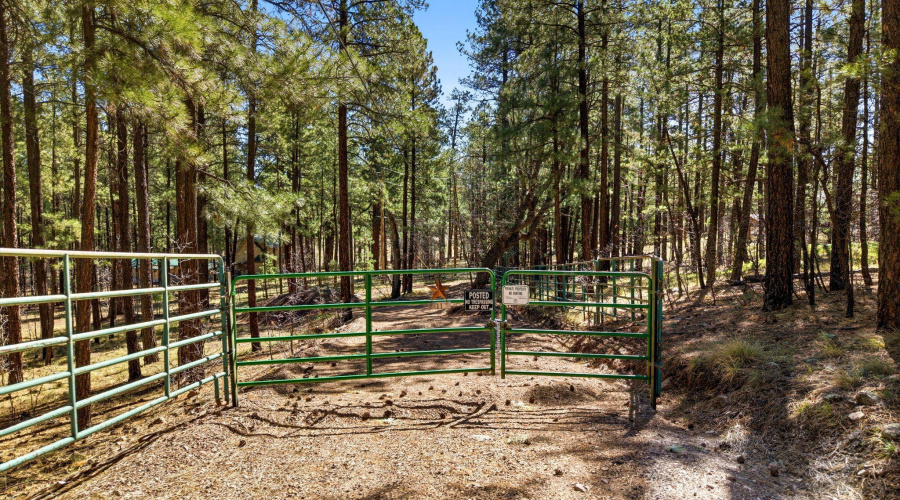 11CountyRd2135-Alpine-AZ-13