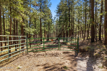 11 County Road 2135, Alpine, Arizona 85920, ,Land,For Sale,County Road 2135,260358