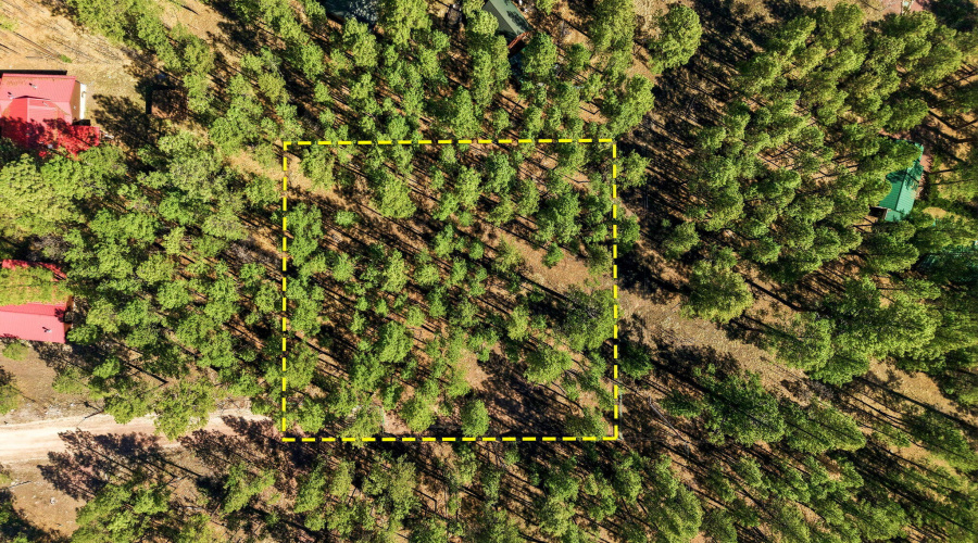 11CountyRd2135-Alpine-AZ-16