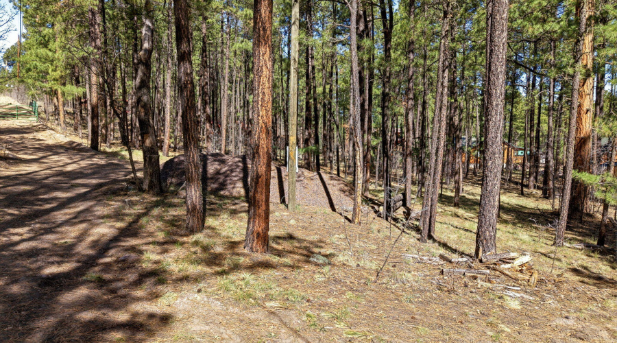 11CountyRd2135-Alpine-AZ-12