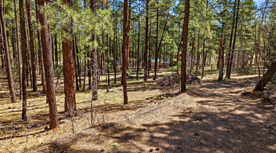 11CountyRd2135-Alpine-AZ-14