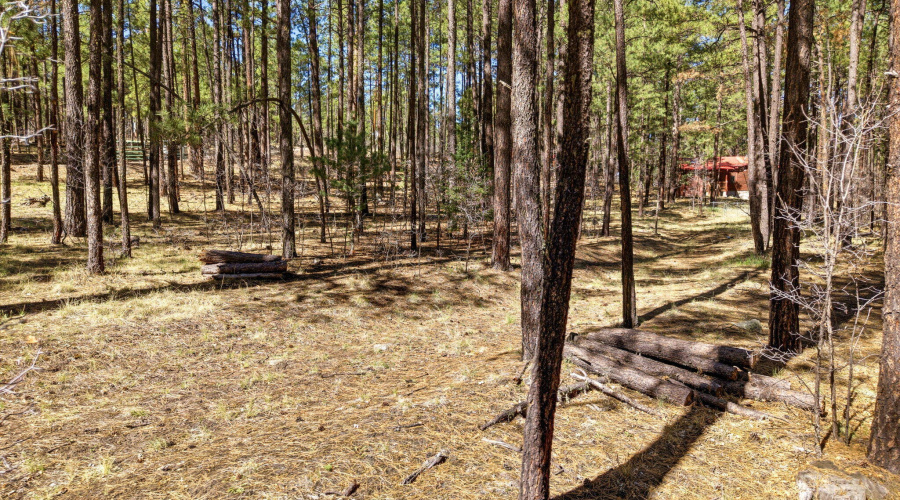 11CountyRd2135-Alpine-AZ-15