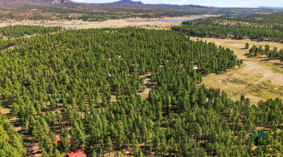 11CountyRd2135-Alpine-AZ-1