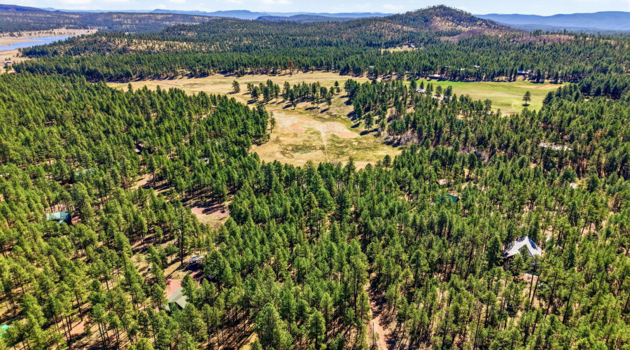 11CountyRd2135-Alpine-AZ-2