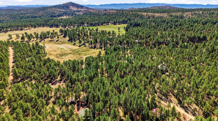 11CountyRd2135-Alpine-AZ-3