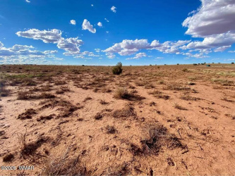 7566 Birch Lane, Snowflake, Arizona 85937, ,Land,For Sale,Birch,260371