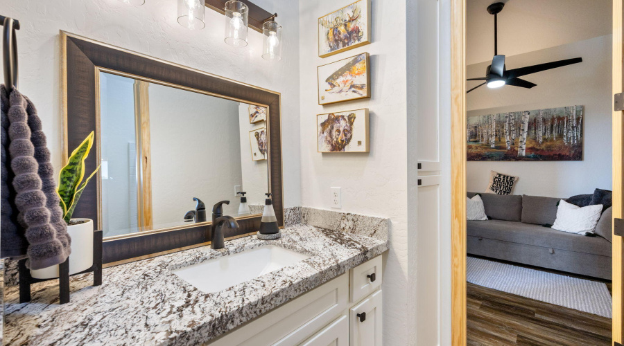 2258BigBearCir-HeberOvergaard-AZ-29